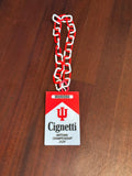 Indiana Hoosiers Curt Cignetti Hype Chain - 3D Printed (with Chain)
